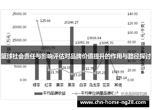 篮球社会责任与影响评估对品牌价值提升的作用与路径探讨
