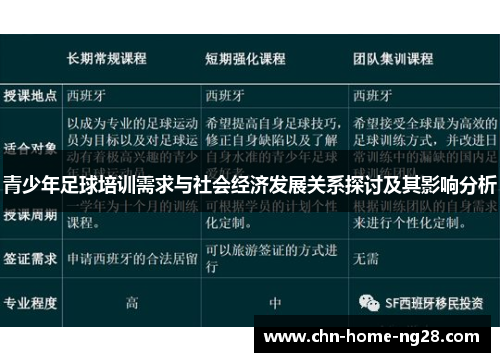 青少年足球培训需求与社会经济发展关系探讨及其影响分析
